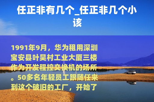 任正非的子女與華為的軟件開發(fā)之路
